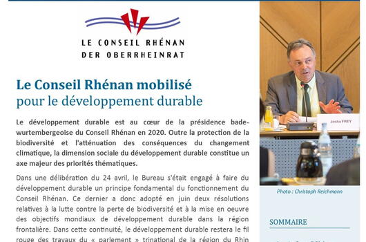Extrait de la 3ème Lettre d'information du Conseil Rhénan (18.11.2020)