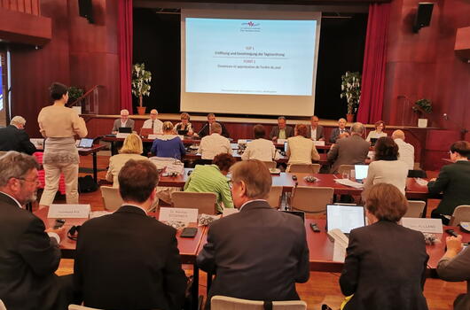 1ère Séance plénière 2022 du Conseil Rhénan, Bad Bergzabern